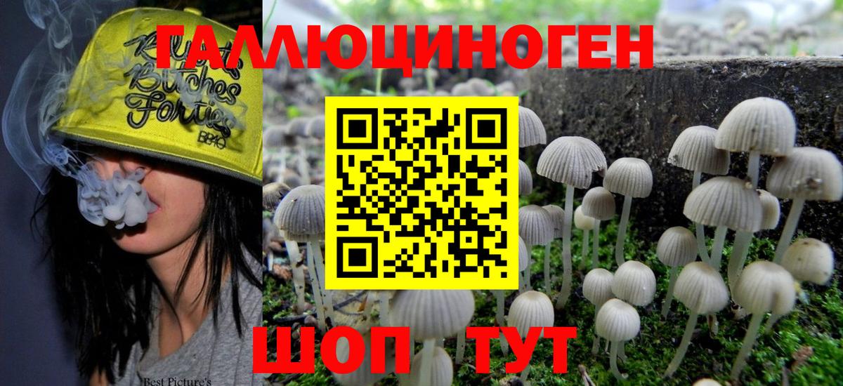 Ачинск  наркота  Вход с VPN  Галлюциногенные грибы Magic Shrooms  Псилоцибиновые грибы ЛСД 